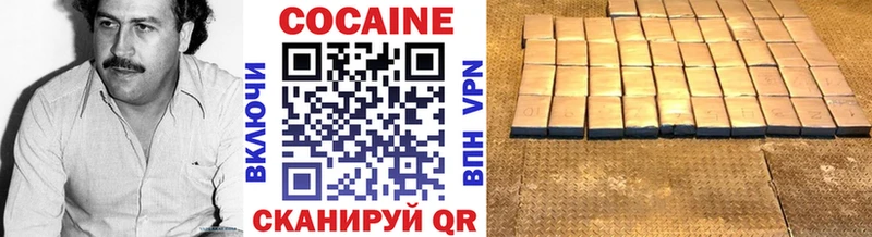COCAIN FishScale  Купить закладки  Грайворон 