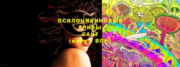 apvp Алексеевка