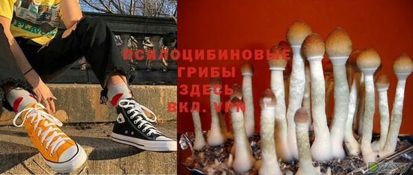 apvp Алексеевка
