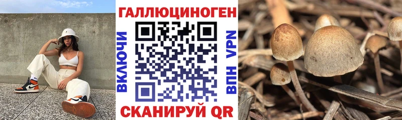 Галлюциногенные грибы Magic Shrooms Купить где Грайворон