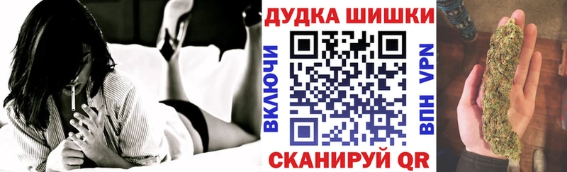 Бошки Шишки планчик  Купить закладки  Грайворон 